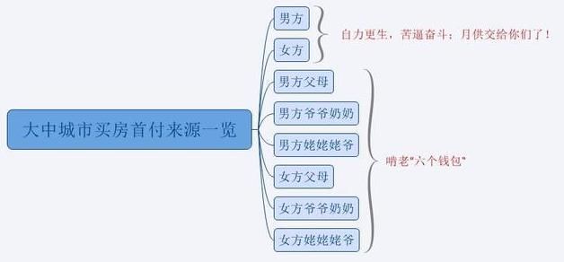 戳心了!最彻底啃老:六个钱包买房，榨干3代人!