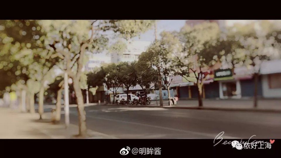 明天起，这样的“上海”又要回来了!一年只有一次!