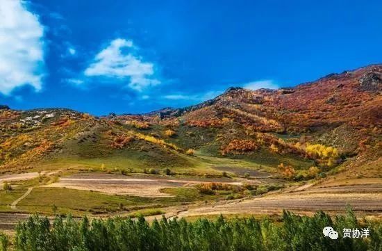 金秋赤峰赛罕乌拉美如仙境，简直是内蒙草原牧民的七彩天堂