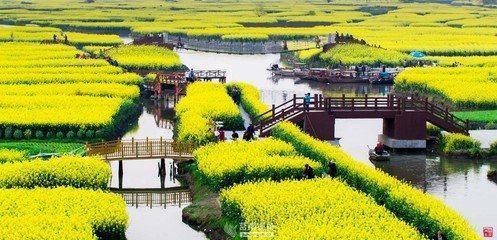土地又有新政策:地能入股种地人可当股东