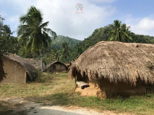 别再只盯着三亚了！海南还有随便捡鱼的海滩和野果满树的古村！