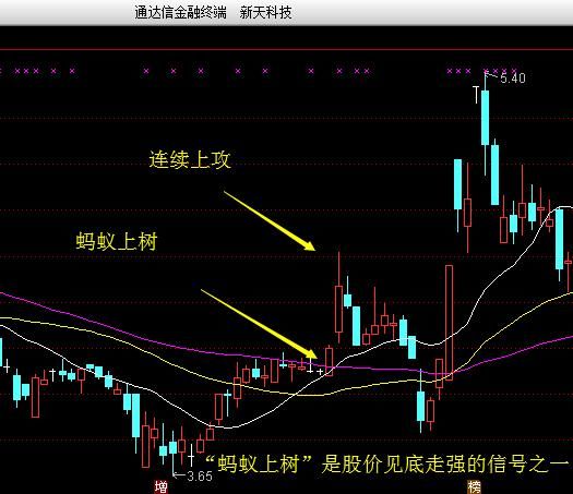 135牛熊均线法则 快速分辨强庄股