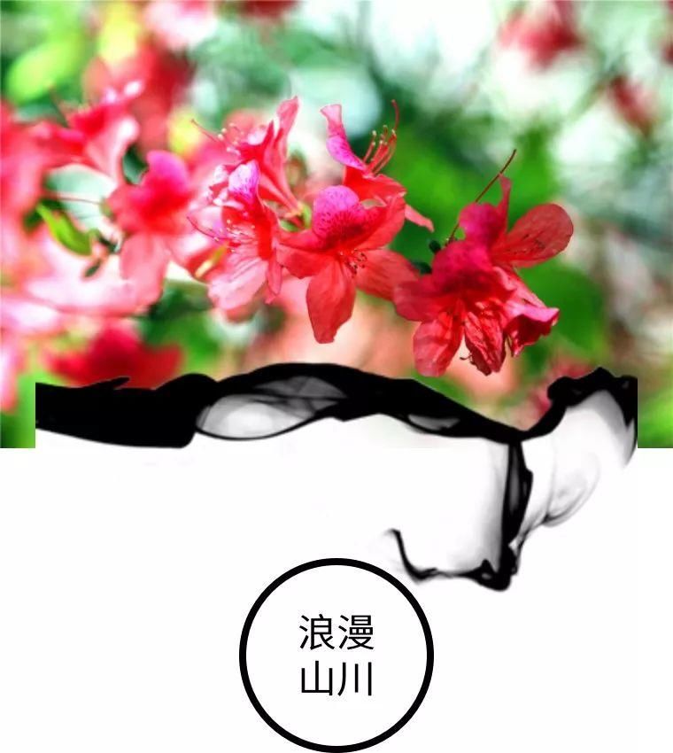 震撼!山川峡谷映山红,绵延数公里!