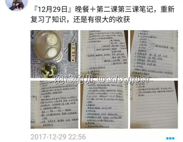 开课啦!为什么你买了那么多辅食书，还是不知道给娃吃啥?跟着宛爸