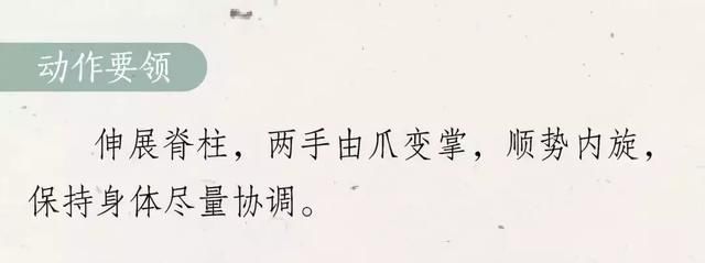 冬至北饺子南汤圆图片