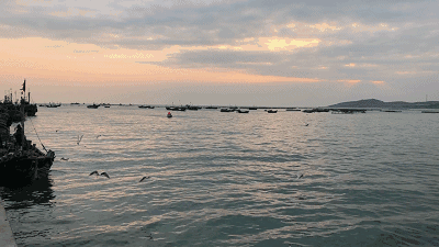 财经 消费旅游 正文  不时归来的渔船 带着一天劳作的收获 满仓里,尽
