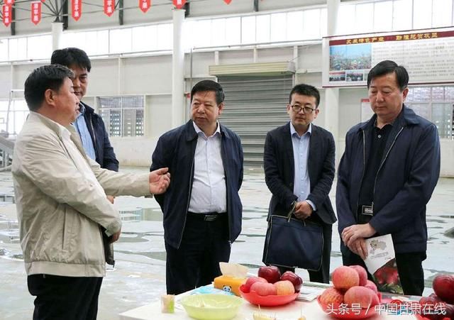 甘肃省林业厅调研麦积区林业贷款贴息项目进展