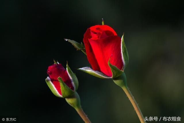 有一种缘分,叫有缘无分;有一种爱情,叫错爱一生