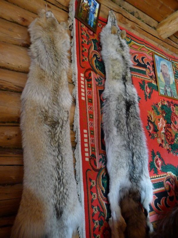 无人不知的自然净土,假期就该这么玩!