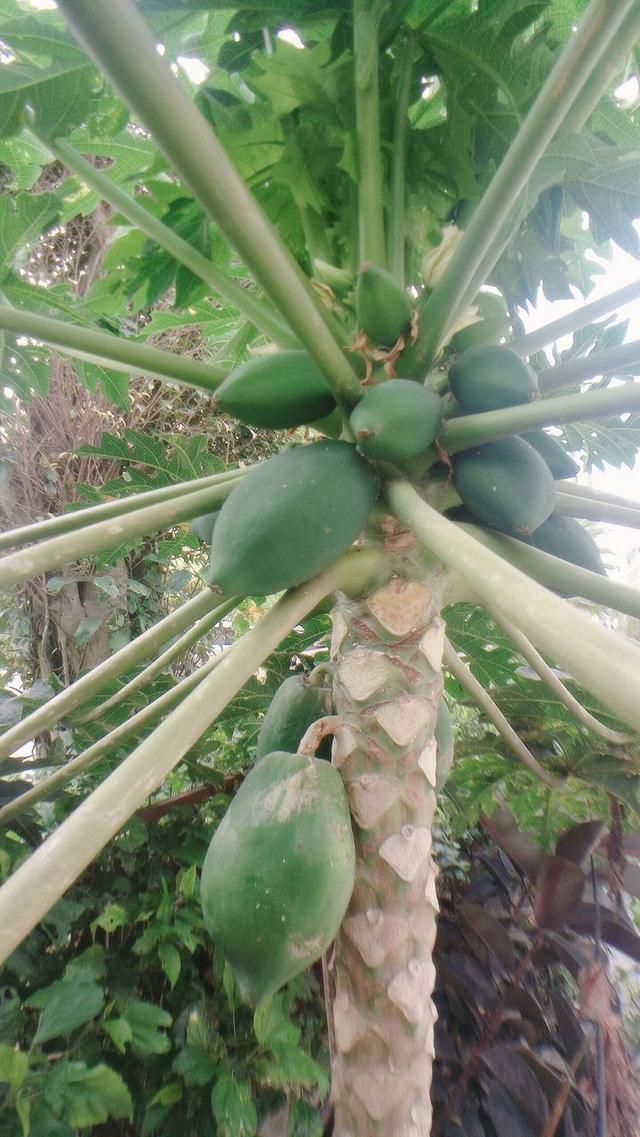 一场适合“70后”的旅行，独自一人带上比基尼来热带的三亚游