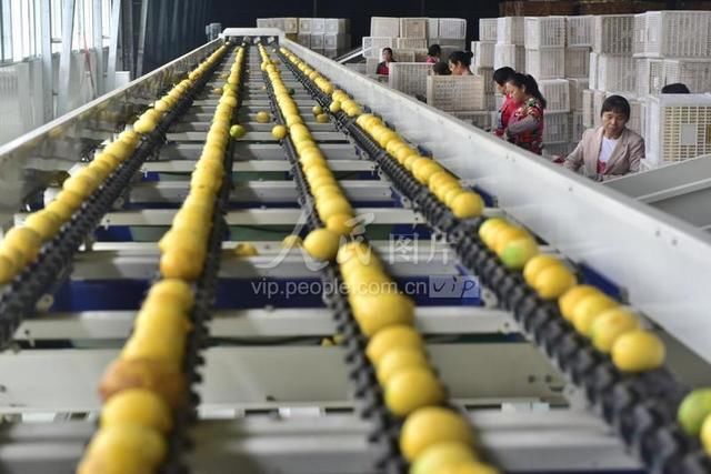 内江是四川哪里