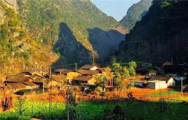 清远百亩向日葵惊艳绽放，还有七彩花田、漂流…… 现在来刚刚好