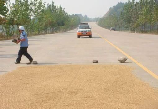 农民在马路上晒粮食，如果发生交通事故的话，农民要承担责任吗？