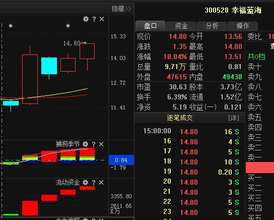 幸福蓝海300528连续4日换手率超过5%