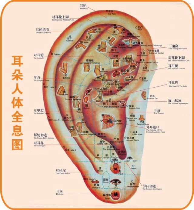 高血压患者，每天睡前揉一揉这部位，能降压