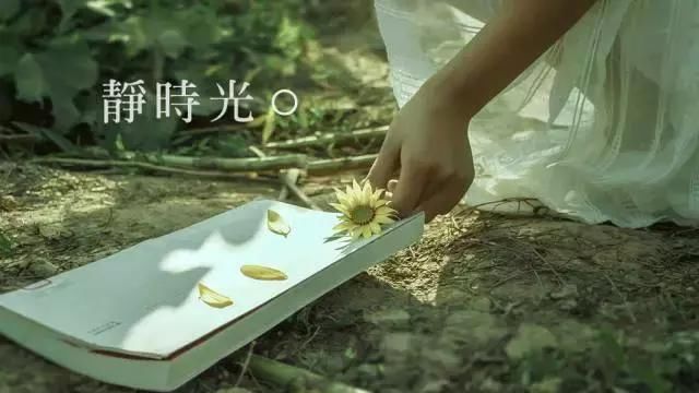 论排版设计,中文字体排版设计是厉害的建筑设计乡村参考文献图片