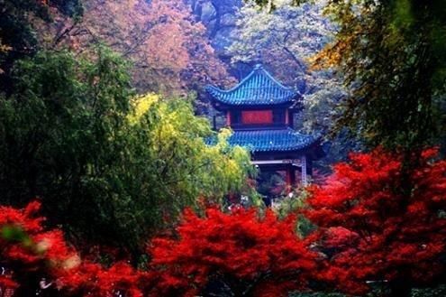 渝长厦高铁规划出炉，横穿5省，重庆8小时可出海，成渝人民有福了