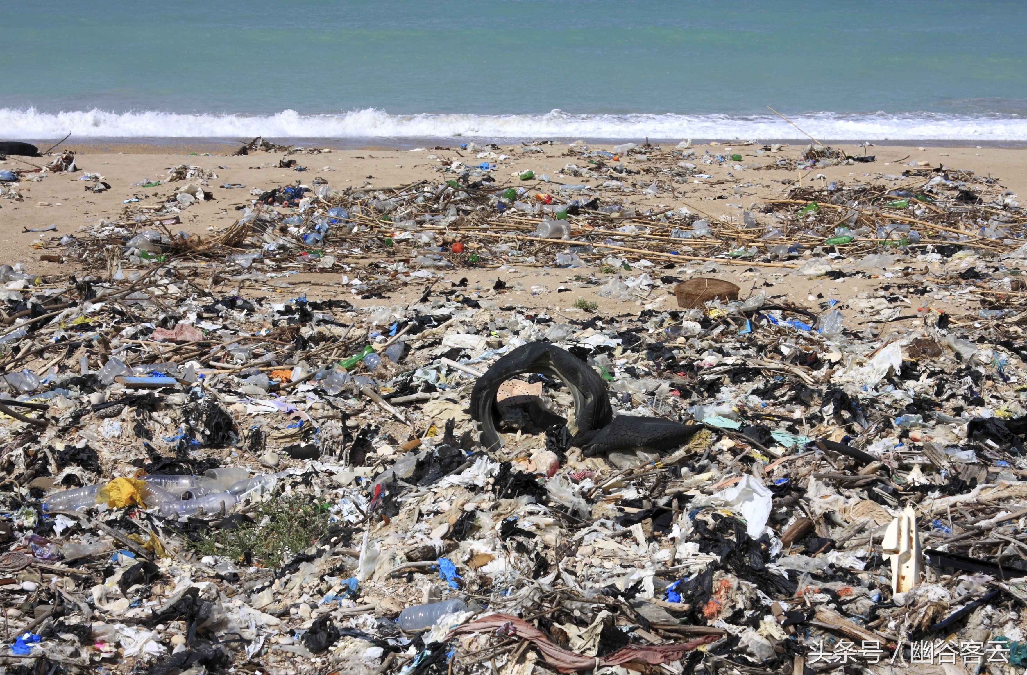 全球第一大的垃圾场:不在陆地上而在海洋里，面积相当于四个日本