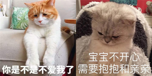 萌宠表情表情:你是不是不爱我了?急需抱情侣野恋与男人包制作人图片