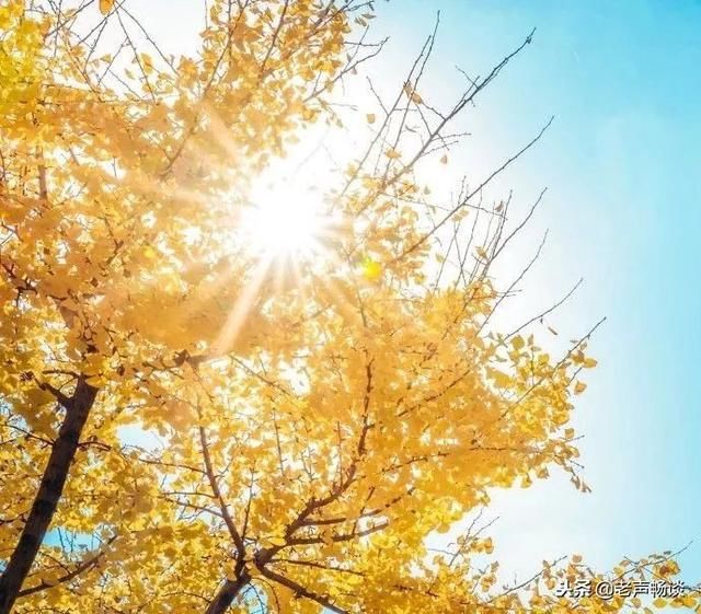 荐读一位71岁老人的深刻感悟:人生的晚秋…看