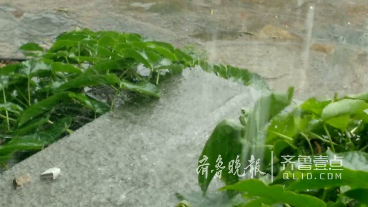 什么是倾盆大雨?今天的济南就是这样子