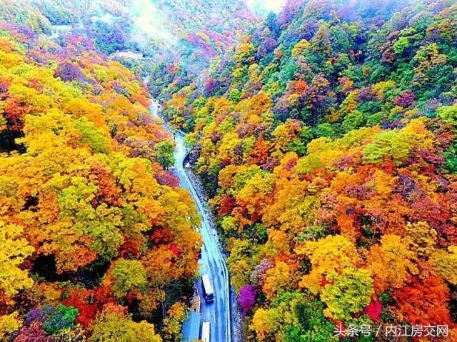 四川阿坝州_2018年阿坝州gdp(3)