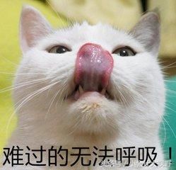 认缴2千万注册资本,地税要求补缴印花税1万,都