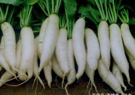 每次感冒嗓子疼痛嘶哑像火烧怎么办?有了这些