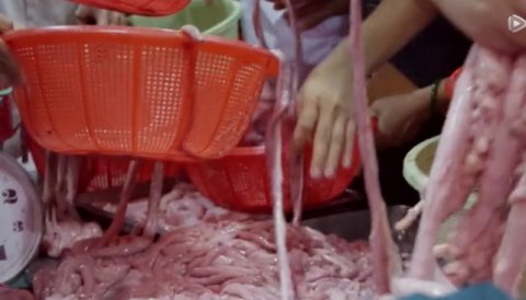 广州最生猛的饭店,点菜全都靠抢,网友:没想到你