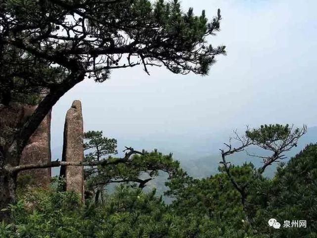 泉州又要火了！乘风破浪的姐姐来录团综，还将......