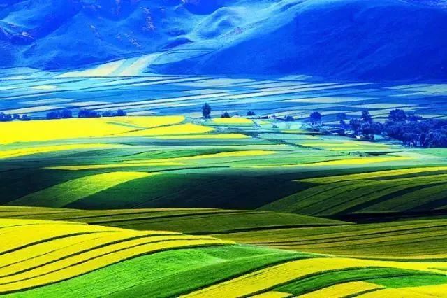 国家电网公司直属单位--鲁能集团青海新能源公