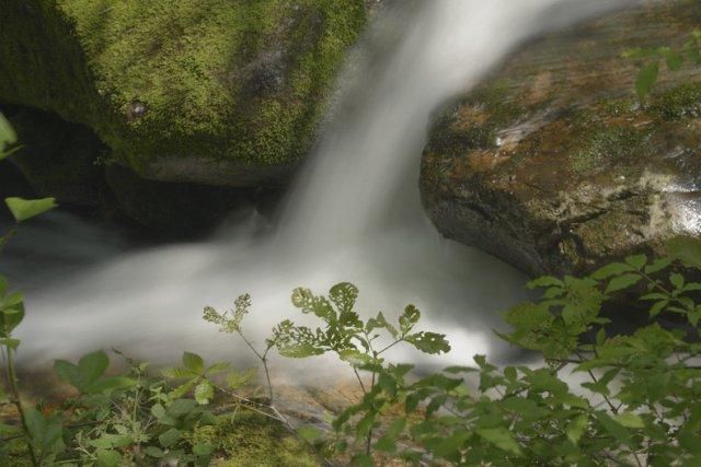 秦岭神奇第一谷 红河谷有落差八十多米的陕西第一瀑