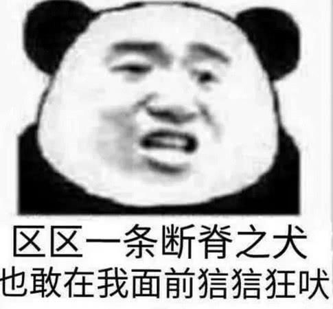 表情生都在用的搞笑动画:现在的小女,不提也微信聊天晚上好v表情语男人表情集图片