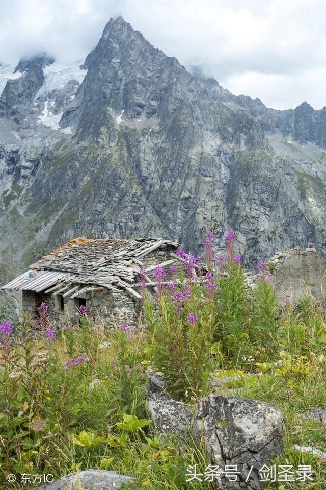 《菜根谭》一:鱼得水逝,而相忘乎水,鸟乘风飞,而
