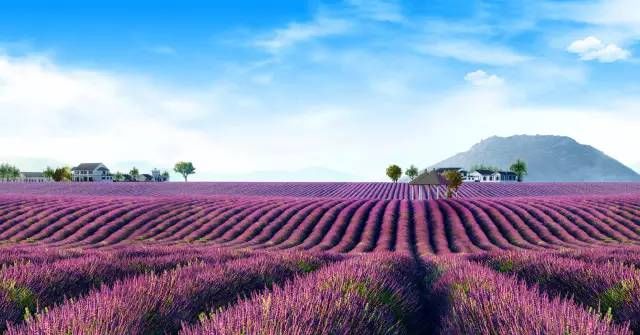 清明小长假去哪儿玩?沈阳周边这100个短途旅