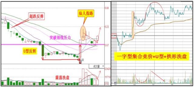 北京女博士看穿股市：26年坚持只做一种股票，学会后股市是娶款鸡