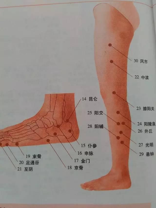 一份很全面的全身穴位图解 一定要收藏