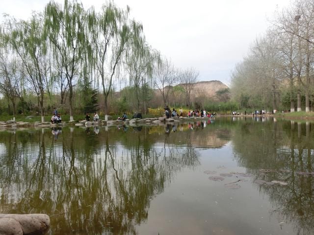 来兰州植物园，享受绿水春光带来的舒适感