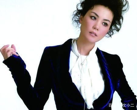 王菲三亿天价出场费加盟湖南卫视新节目