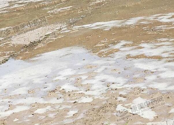 甘肃岷县遭遇特大暴雨冰雹，受灾有哪些？