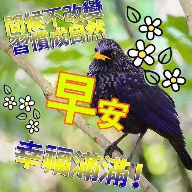 微信早安问候语 最新早上好问候语动态图片大全