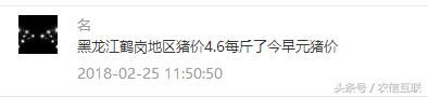 年后局地猪价暴跌破5元\/斤，豆粕暴涨200元\/吨，养殖户一个字：