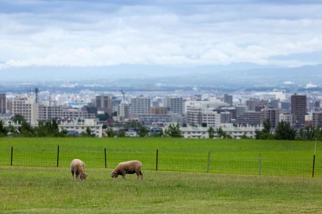 去日本最“慢”的城市感受四季变化