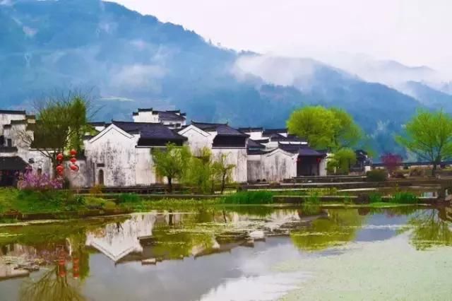 到了安徽只知道黄山就太可惜了，这个三月不可错过的人间天堂