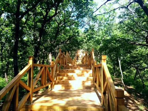 阳春三月!长春这些地方可以游玩~