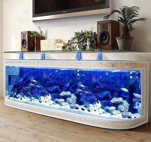 鱼缸硝化菌怎么培养,有没有现成的?