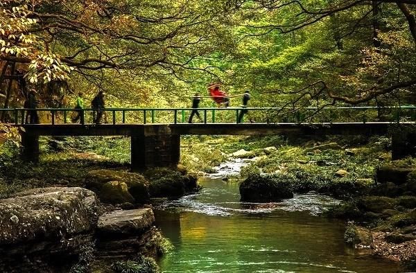 张家界天门山、张家界森林公园、杨家界、天子山三日游