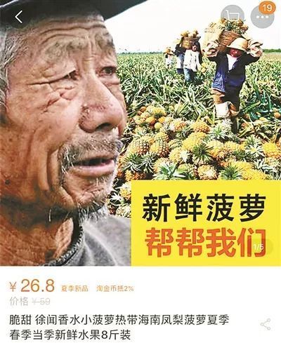 苹果滞销，老农欲哭无泪！别再被骗，这个悲情套路正在全国上演