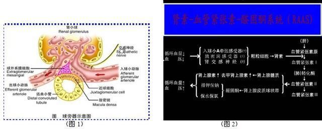 高血压的人在喝水上应该注意什么?