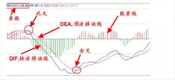 准确率最高的指标“MACD”，一指标战涨停，实盘验证超万次